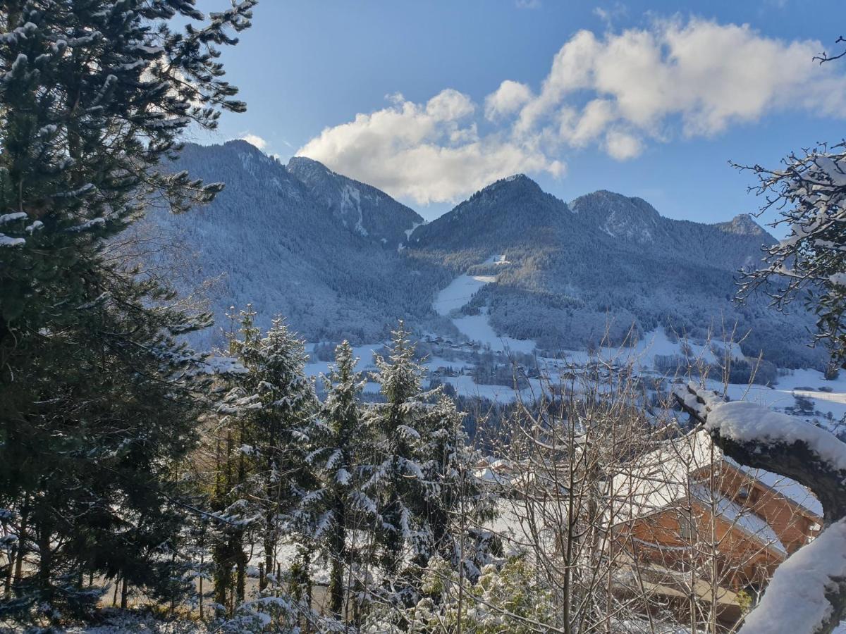 Chalet Tante Emma Vacheresse Exteriér fotografie